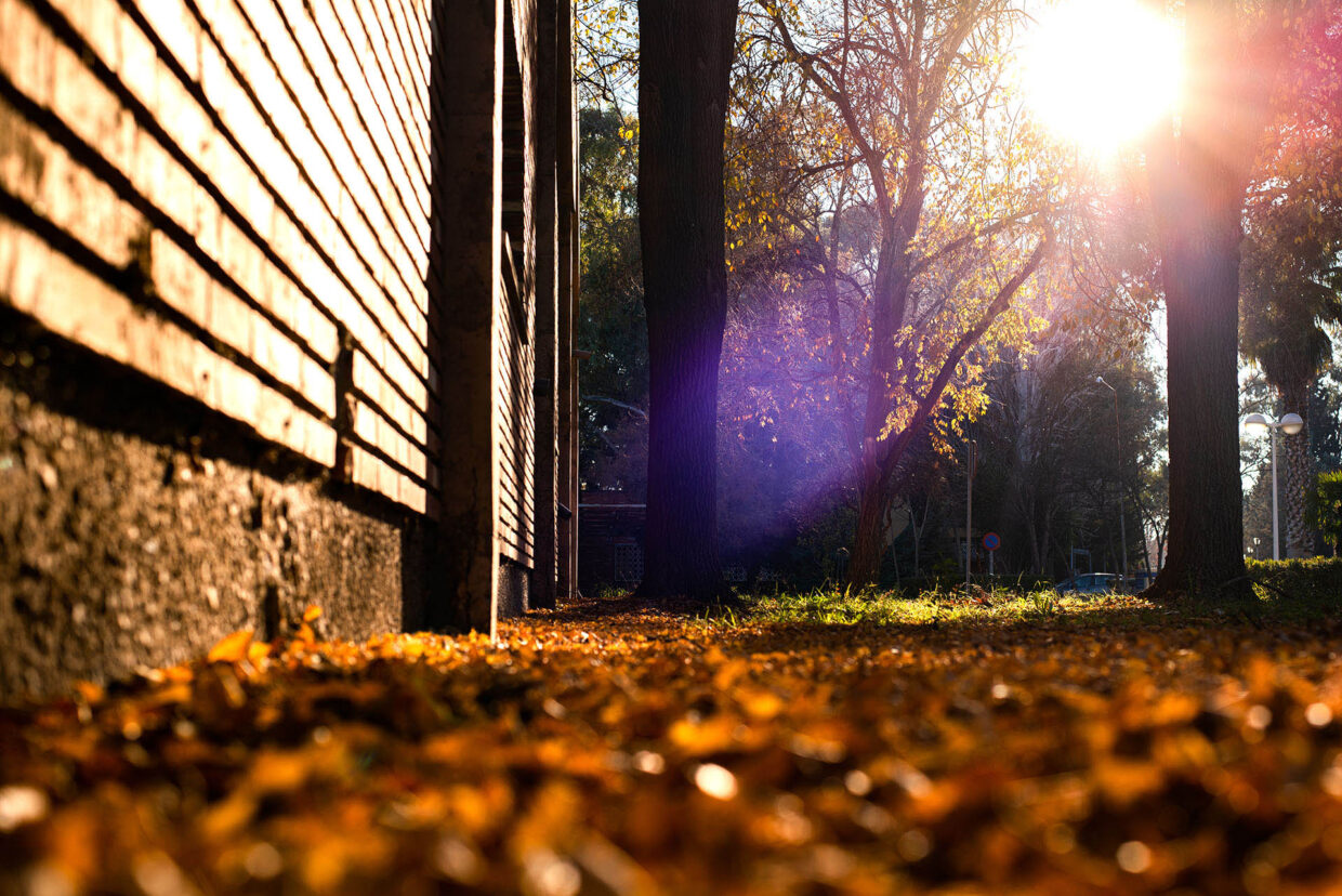 Late-Fall-Waterproofing