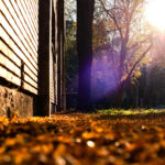 Late-Fall-Waterproofing