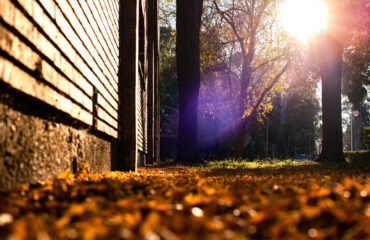 Late-Fall-Waterproofing